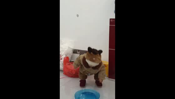 Toddler playfully struggles with plastic cover in Guangdong, China