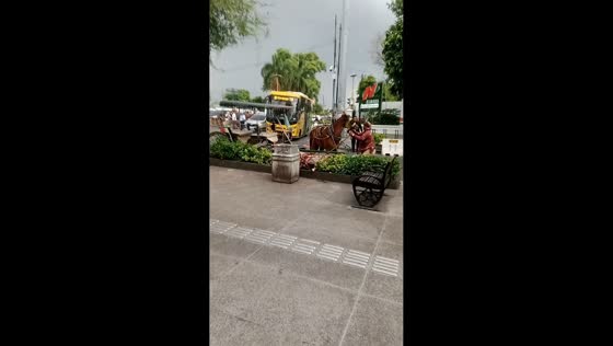Horse-drawn carriage collapses on Malioboro Street in Yogyakarta, Indonesia