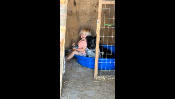Daughter bonds with dog and puppies in Sidney, Montana, USA