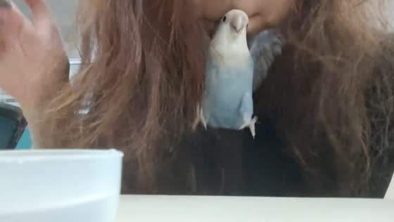 Parrot shows playful resistance with owner in Fujian, China