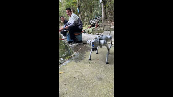 Robot dog catches a fish before it flops onto the ground in Chengdu, China
