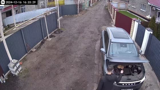 Cat surprises car owner by hiding under the hood in Astrakhan, Russia