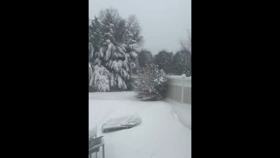 Severe snowstorm blankets Long Island, New York, USA
