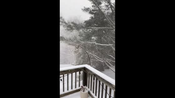 Heavy snow falls in Banner Elk, North Carolina, USA