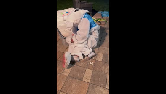 Man in bunny costume falls from roof in Clearwater, Florida, USA