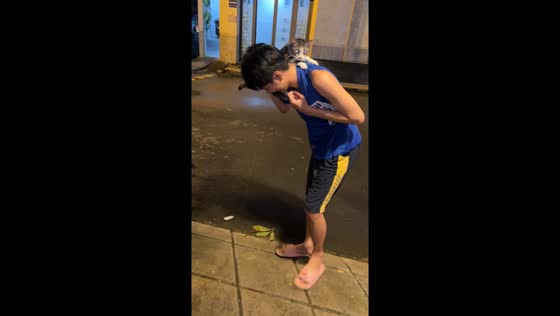 Cat peeing with unusual help in Ho Chi Minh City, Vietnam