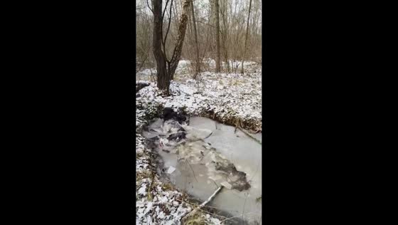 Boy falls into icy pond during snowy jump in Bryansk, Russia