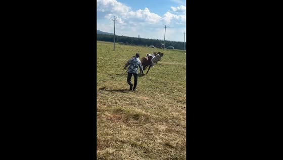 Pony shakes off two riders in Shandong, China
