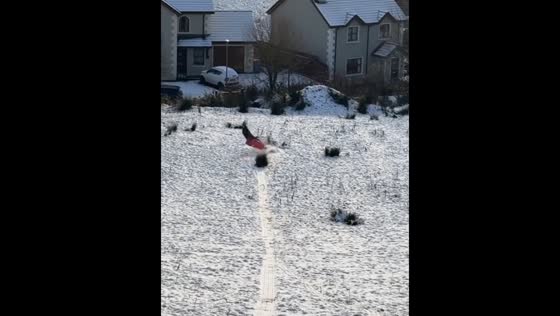 Person falls while sledding after hitting a plant in UK