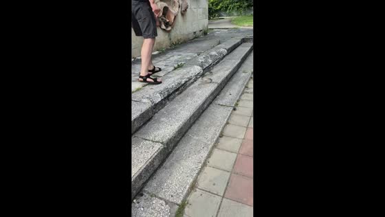 Snake crawls on stair step and startles man in Ağstafa, Azerbaijan
