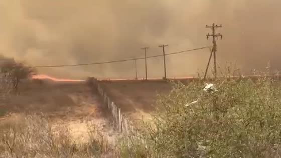 Wildfires ravage Santa Elena, Argentina: video captures the blazing inferno