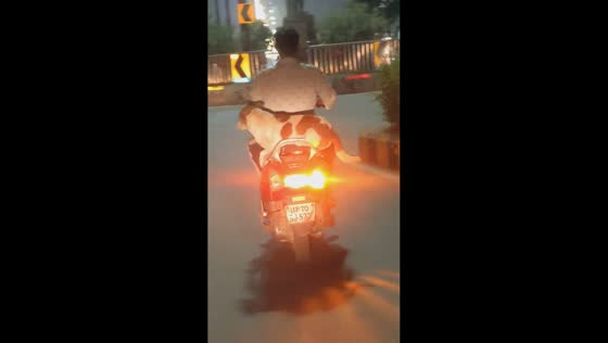 Dog sits motionless on motorcycle in Prayagraj, India