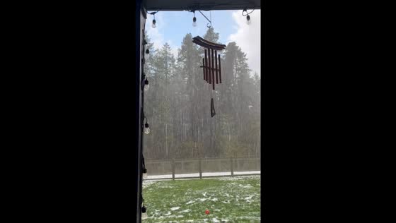 Hailstorm pelts Pierce County, Washington, USA