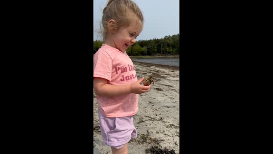 Little girl gently releases crab on the beach in Phippsburg, Maine, USA