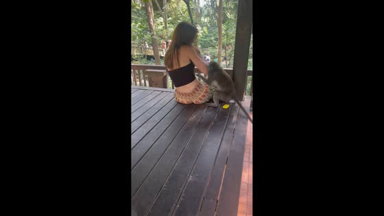 Monkey snatches vape after attacking tourist in Bali, Indonesia