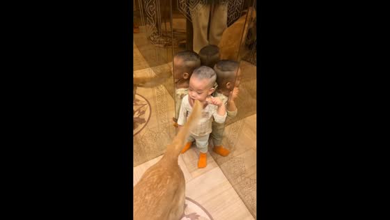 Dog unknowingly brushes its tail on child in elevator in Jilin, China