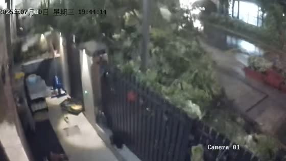 Typhoon topples trees and batters Jiangsu, China