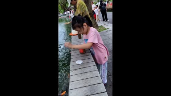 Girl accidentally drops a jar into a pond while feeding fish in Guangdong, China