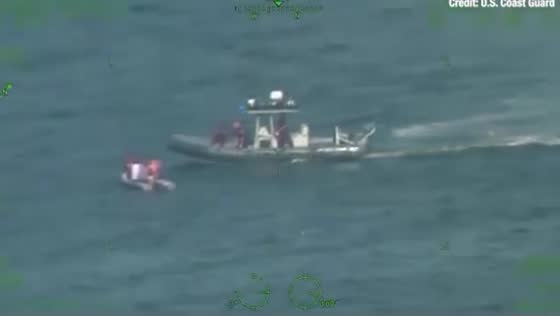 Rescue of four and dog after plane crash near St. Pete Pier, Florida