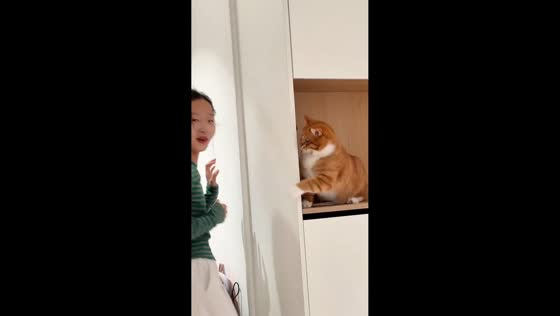 Cat playfully surprises little girl in Hebei, China
