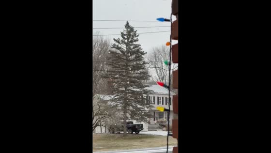 Large snowflakes fall steadily during winter storm in Trumbull, Connecticut, USA