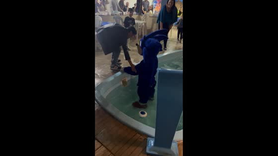 Sonic mascot falls into pool during celebration in Garanhuns, Brazil