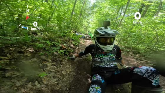 Fallen tree sends dirt bike riders crashing on forest trail in Roseneath, Canada