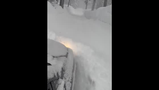Driving Through a Winter Wonderland: Massive Snowfall Blankets Homewood, California