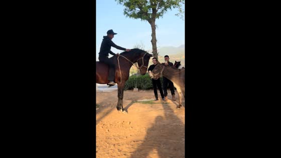 Horse reacts to donkey’s noise during encounter in Shaanxi, China
