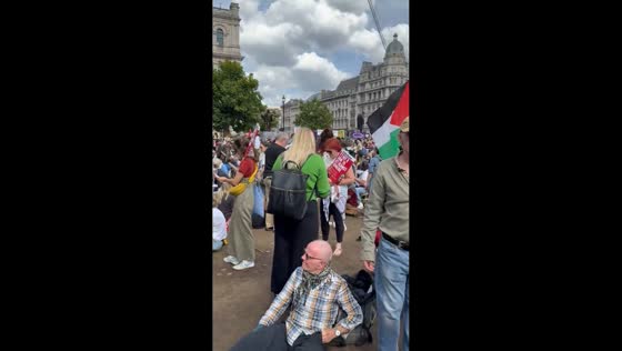 Mass arrests during pro-Palestine protest in London, UK