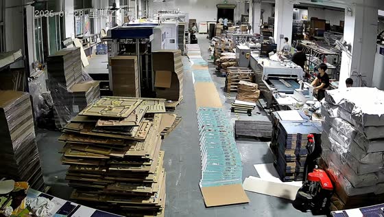 Tower of cardboard topples in packaging factory mishap in Guangdong, China