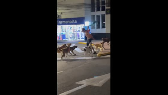 Man successfully defends himself with cloth against aggressive dogs in Ocaña