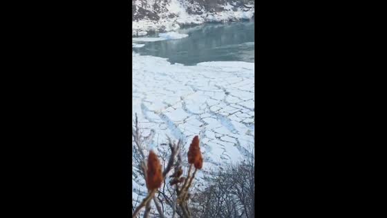 Seagulls fly over melting ice near Niagara Falls in Ontario, Canada