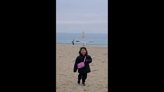 Seagull lands on girl's head and stays in Busan, South Korea