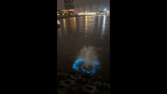 Fluorescent sea glows after splash at Liaoning beach, China