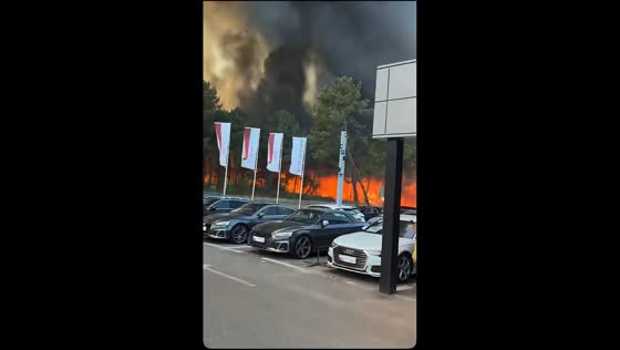Wildfire spreads through pine forest in Mérignac, Bordeaux, France