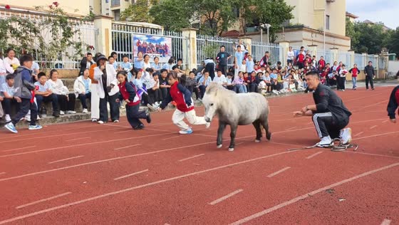 Miniature pony races ahead of schoolchildren during sports meet in Anhui, China