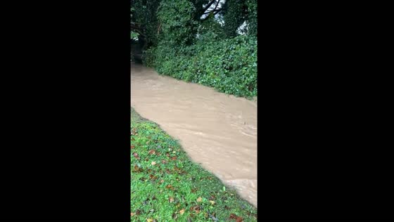 Chocolate deluge: Willy Wonka's factory mishap sends cocoa river through Bishopstown