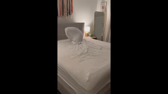 Daring dog's hilarious bed sheet escape fail