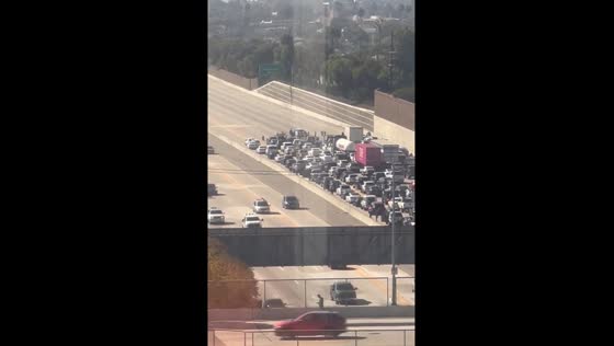 Pro-Palestinian protesters block 405 freeway in West L.A