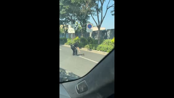 Woman carefully catches puppy stranded on road in Shanxi, China
