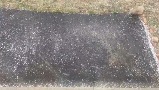 Large hailstorm covers ground in Divide, Colorado, USA