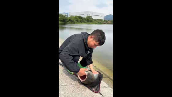 Man loses large fish back into the water in Zhejiang, China