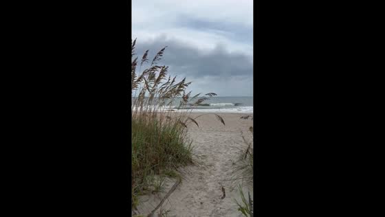 Serene coastal pathway at Huntington Beach State Park, Murrells Inlet, USA