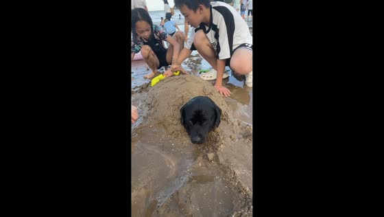 Children bury dog in sand at the beach in Hunan, China