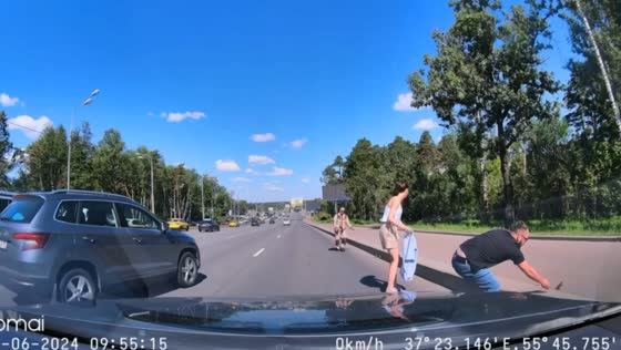 Family of ducklings rescued on Moscow roadway amid traffic