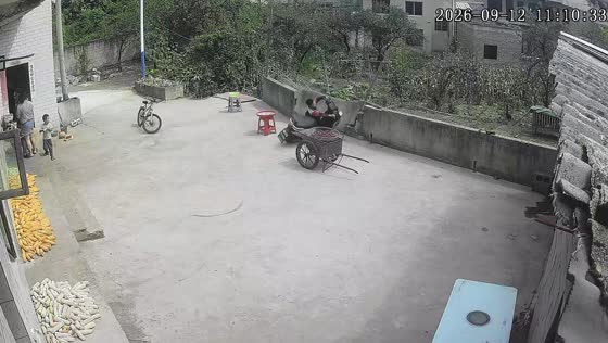 Child accidentally crashes scooter into wall after hitting throttle in Guizhou, China
