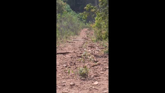 Mountain trail view of Tianma Mountain in Yunnan, China