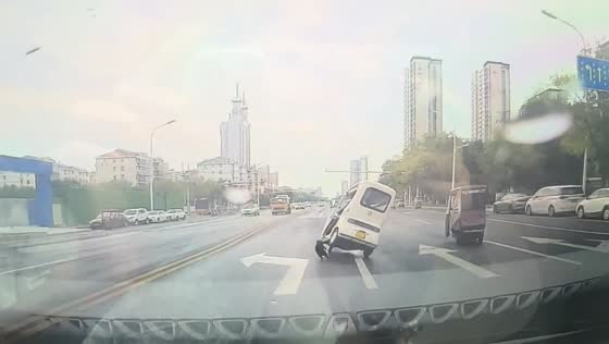 Dashcam captures tricycle accident involving dogs in Henan, China