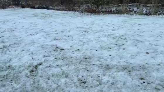 Early-season snow blankets Gray in Kentucky, USA
